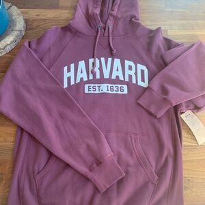 Blue 84 Burgundy Men's Hoodie